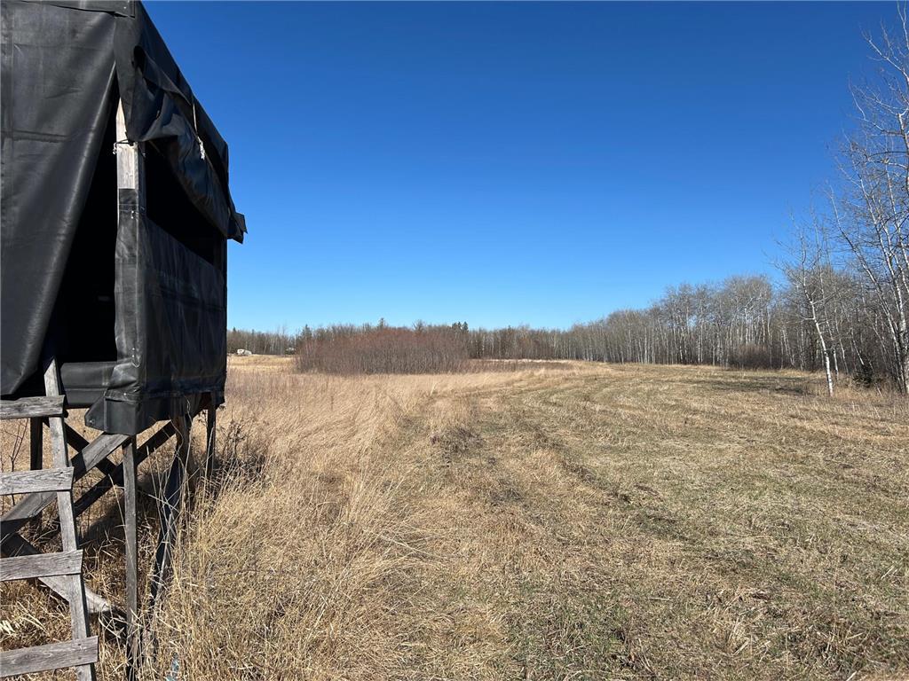 26268 State Highway 11 Badger MN 56714 6704610 image12