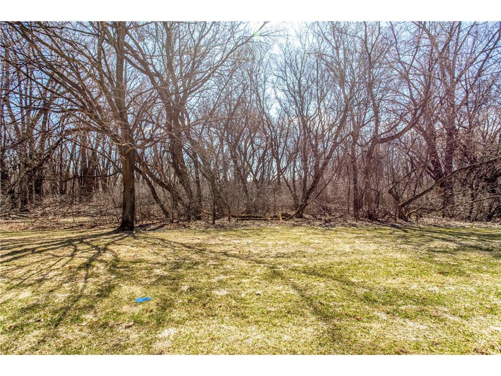 2627 Brookdale Lane Brooklyn Park MN 55444 7029999 image17