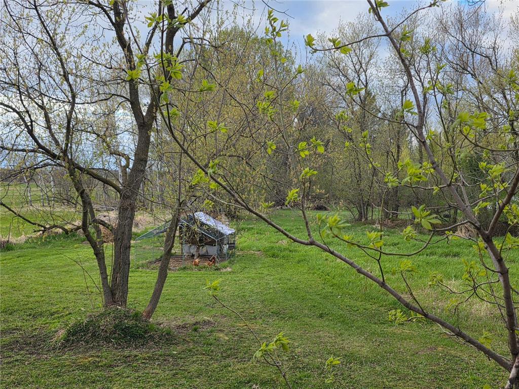 26274 Wilkinson Avenue Quamba MN 55007 7067930 image23
