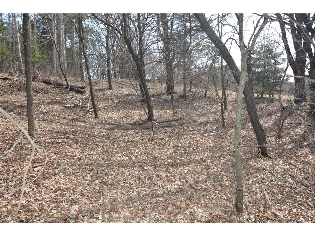 26275 Woodlands Parkway NW Zimmerman MN 55398 7046183 image41