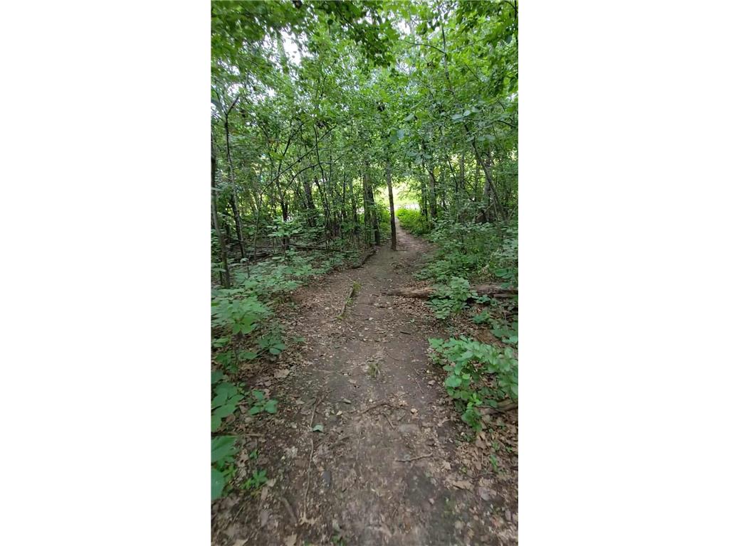 2628 Sumac Court White Bear Lake MN 55110 7020539 image31