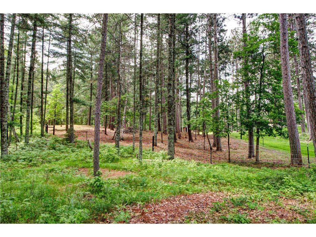 26298 County 89 Park Rapids MN 56470 - Eagle 6737248 image11