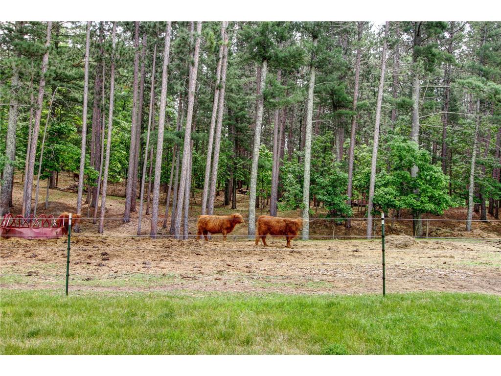 26298 County 89 Park Rapids MN 56470 - Eagle 6737248 image45