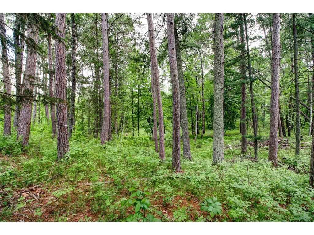 26298 County 89 Park Rapids MN 56470 - Eagle 6737248 image54