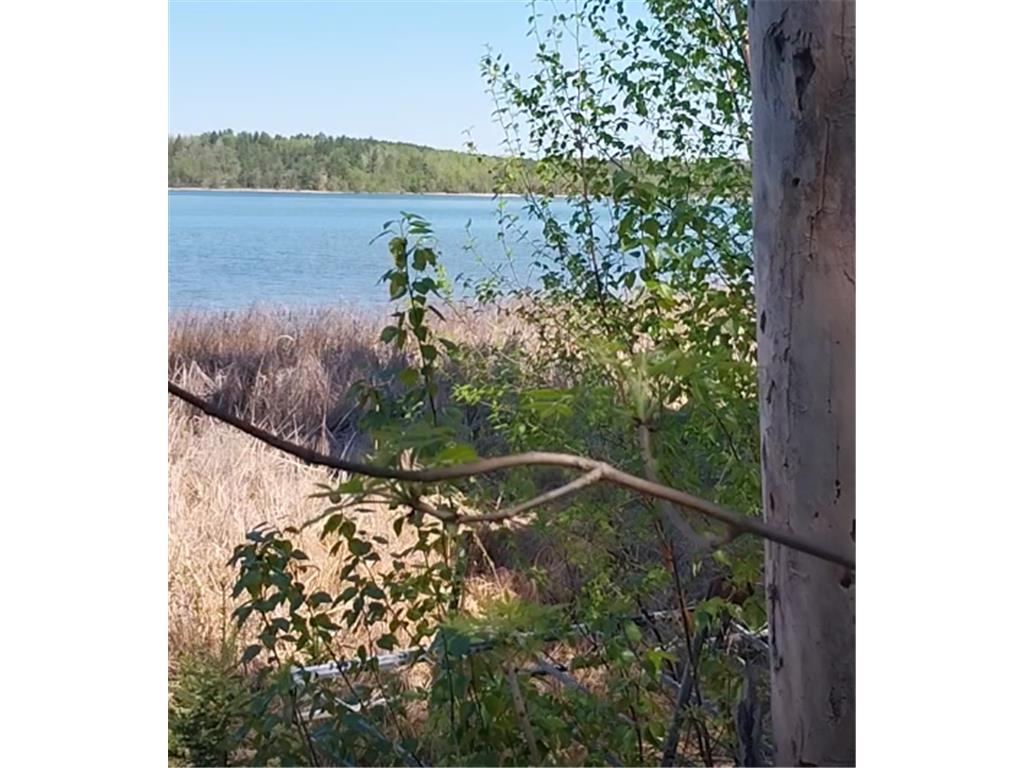 26299 Ivan Trail Lake Emma Twp MN 56470 - Upper Bottle 6817985 image11