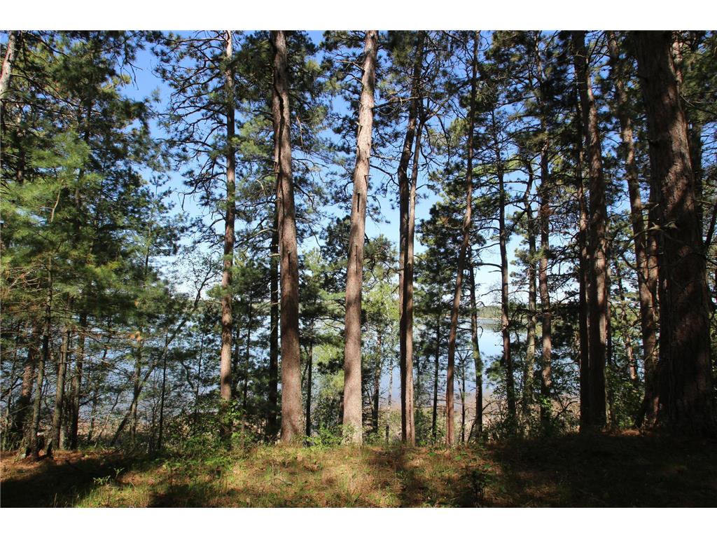 26299 Ivan Trail Lake Emma Twp MN 56470 - Upper Bottle 6817985 image13