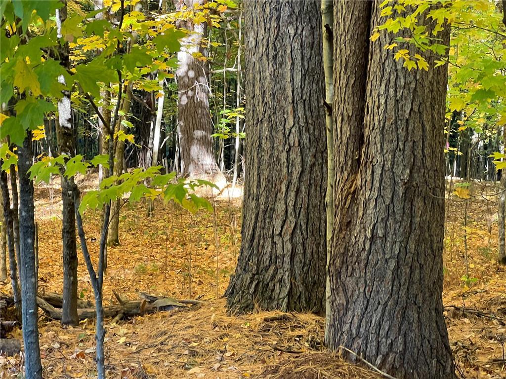 262XX Taylor Road Deerwood MN 56444 6612291 image1