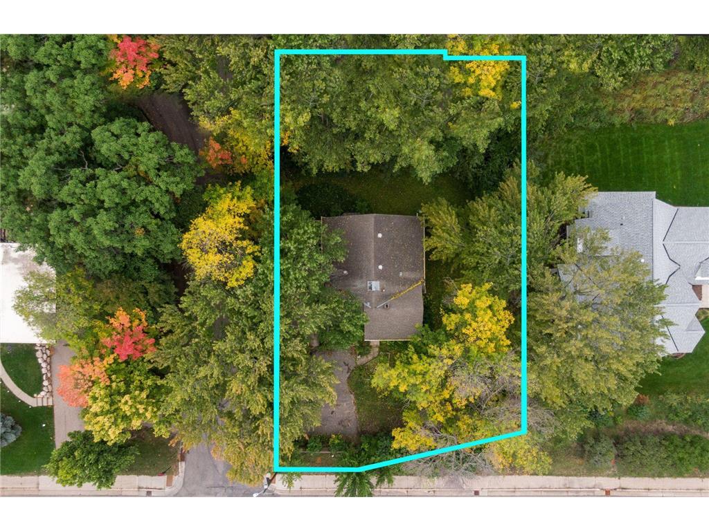 263 Central Avenue N, Wayzata, MN, 55391 MLS 6486980 Edina Realty