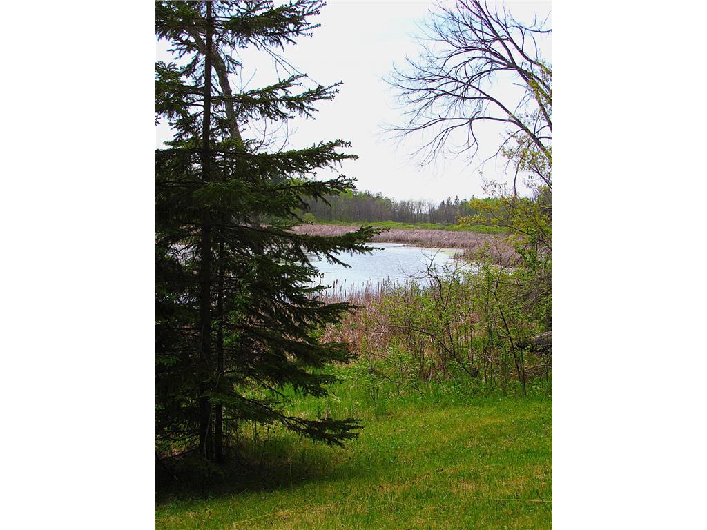 26301 US 71 Park Rapids MN 56470 - Hay Creek 7087340 image18