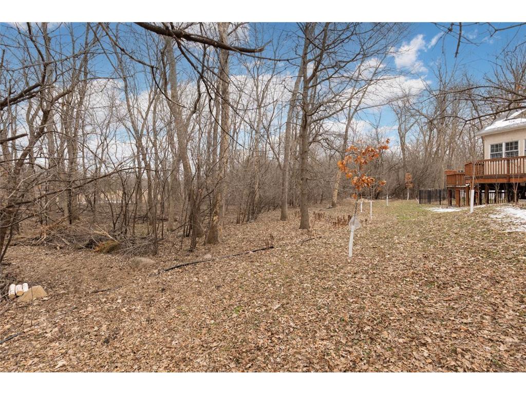 26335 Peach Circle Shorewood MN 55331 7025181 image58