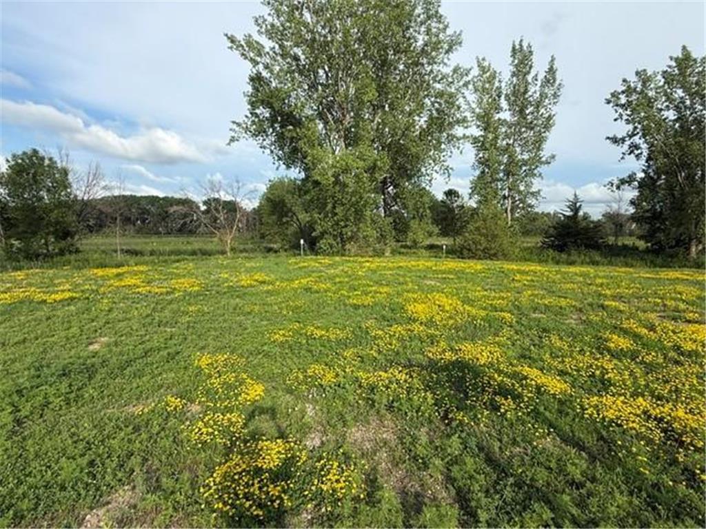 26351 Preserve Drive Elko New Market MN 55054 7103274 image1