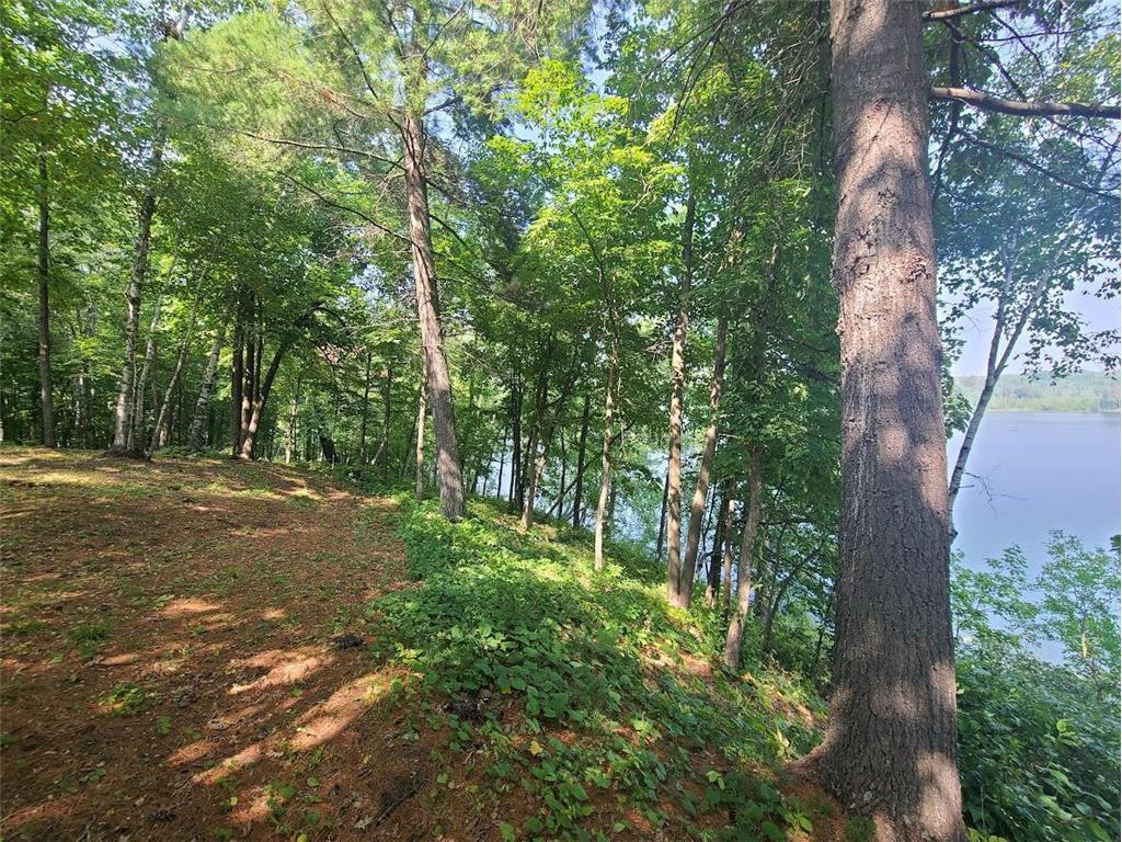 26354 Inwood Trail Mantrap Twp MN 56470 - West Crooked 6679844 image1
