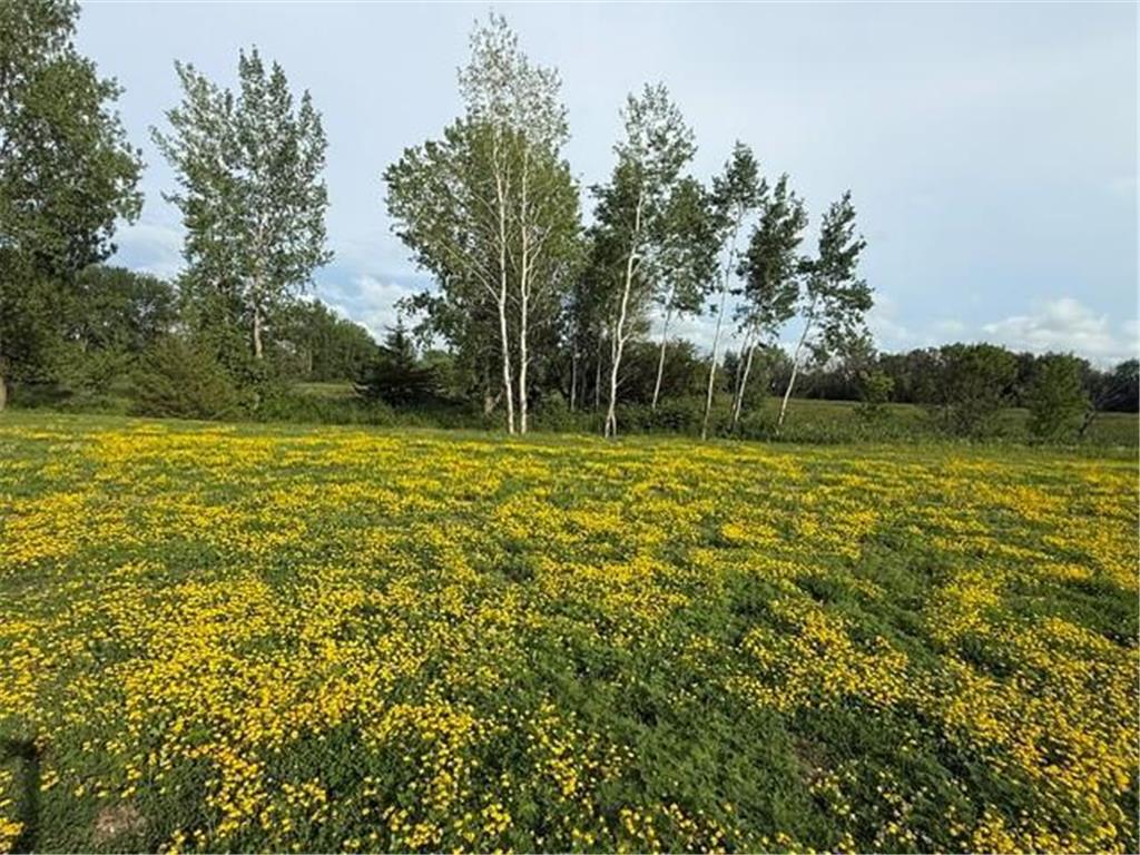 26361 Preserve Drive Elko New Market MN 55054 7103292 image1