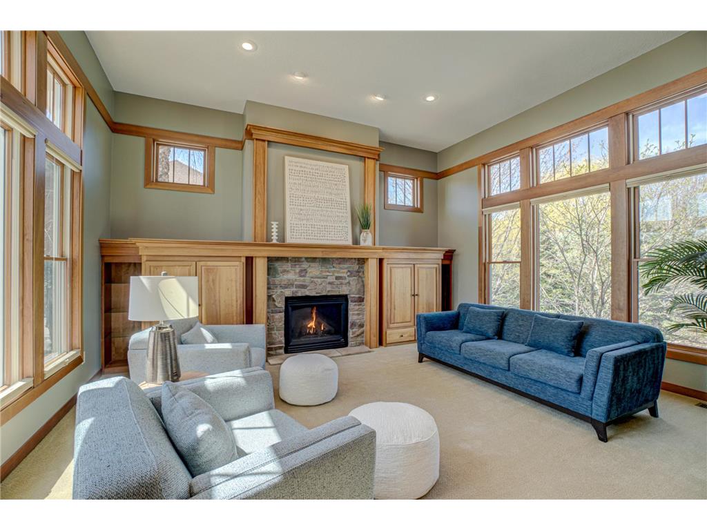 2637 Cottage Grove Place Woodbury MN 55129 7055215 image14