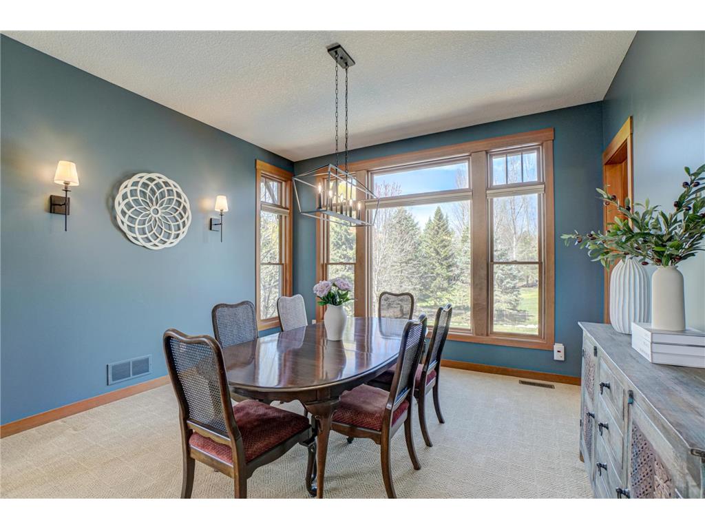 2637 Cottage Grove Place Woodbury MN 55129 7055215 image16