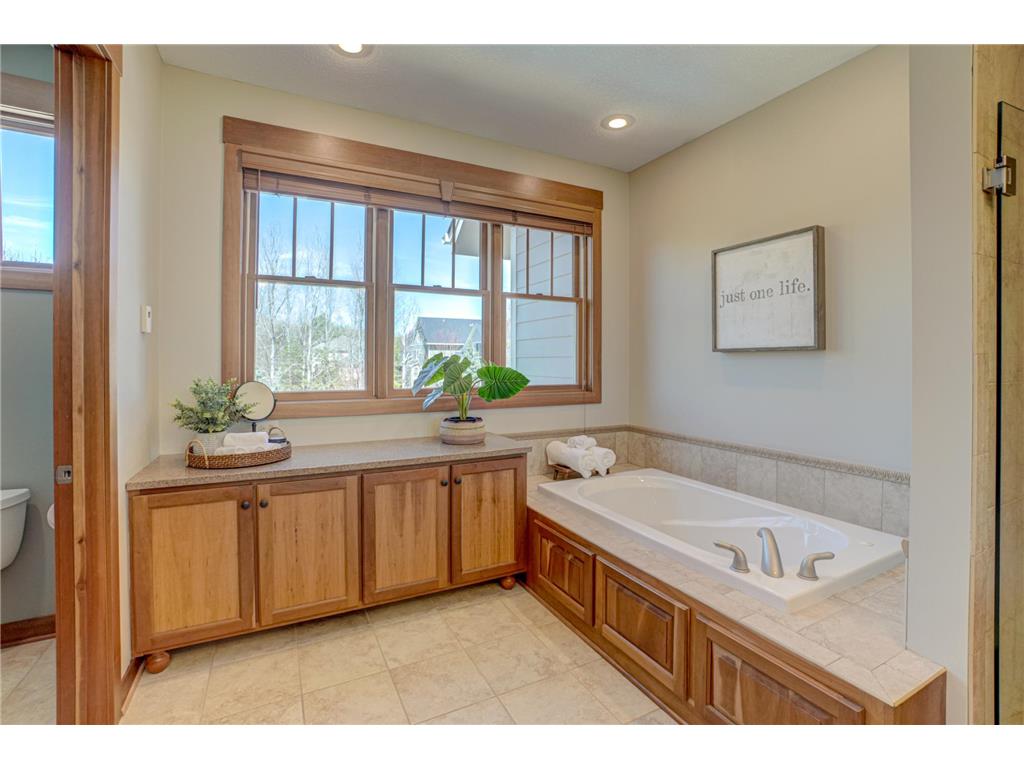 2637 Cottage Grove Place Woodbury MN 55129 7055215 image21