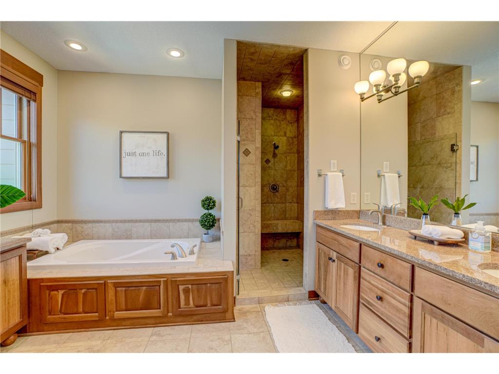2637 Cottage Grove Place Woodbury MN 55129 7055215 image22