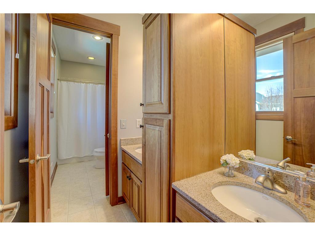 2637 Cottage Grove Place Woodbury MN 55129 7055215 image26