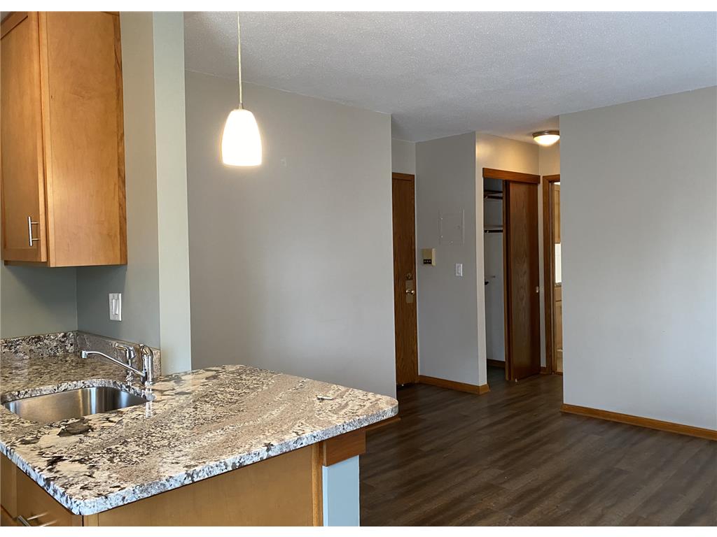 2637 Pleasant Avenue Minneapolis MN 55408 7037156 image43