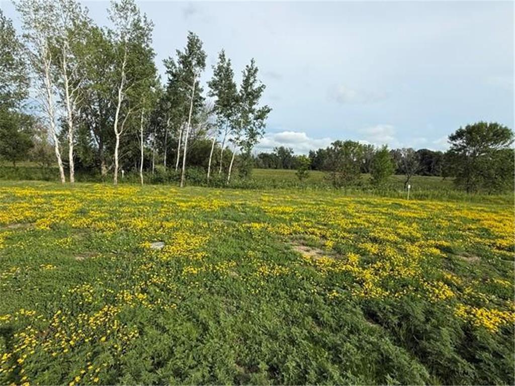 26371 Preserve Drive Elko New Market MN 55054 7103308 image1