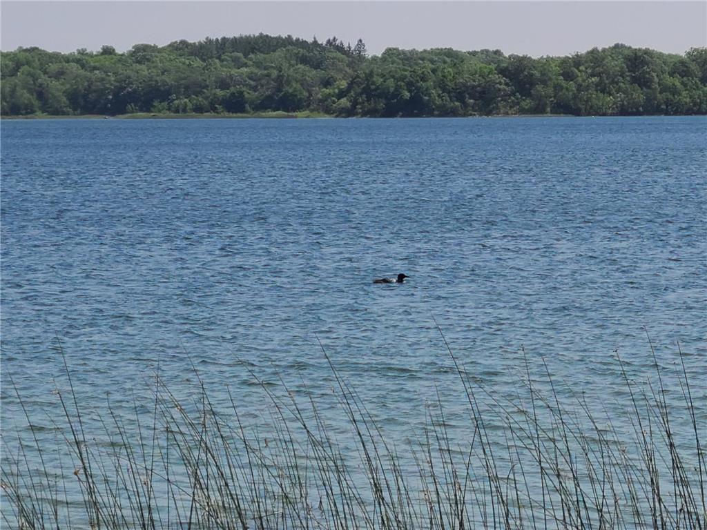 26373 Anna Lake Road Underwood MN 56586 - Anna 7082448 image14