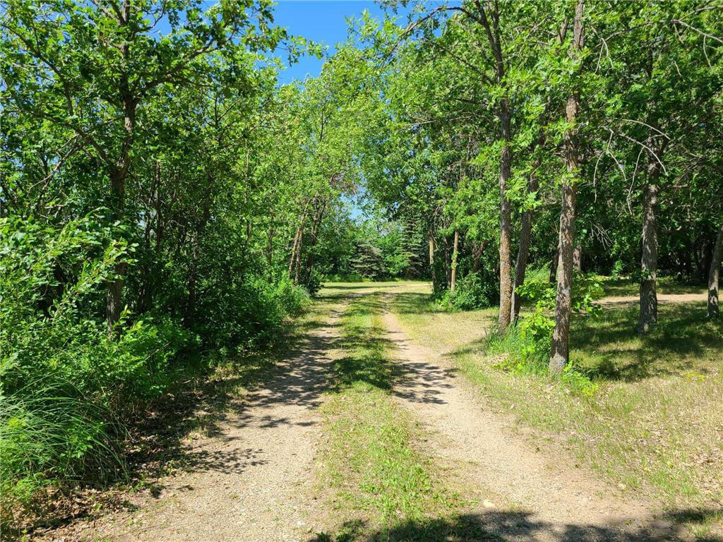 26373 Anna Lake Road Underwood MN 56586 - Anna 7082448 image2