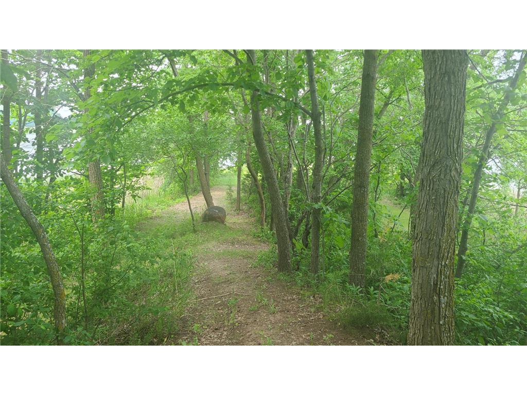 26373 Anna Lake Road Underwood MN 56586 - Anna 7082448 image21