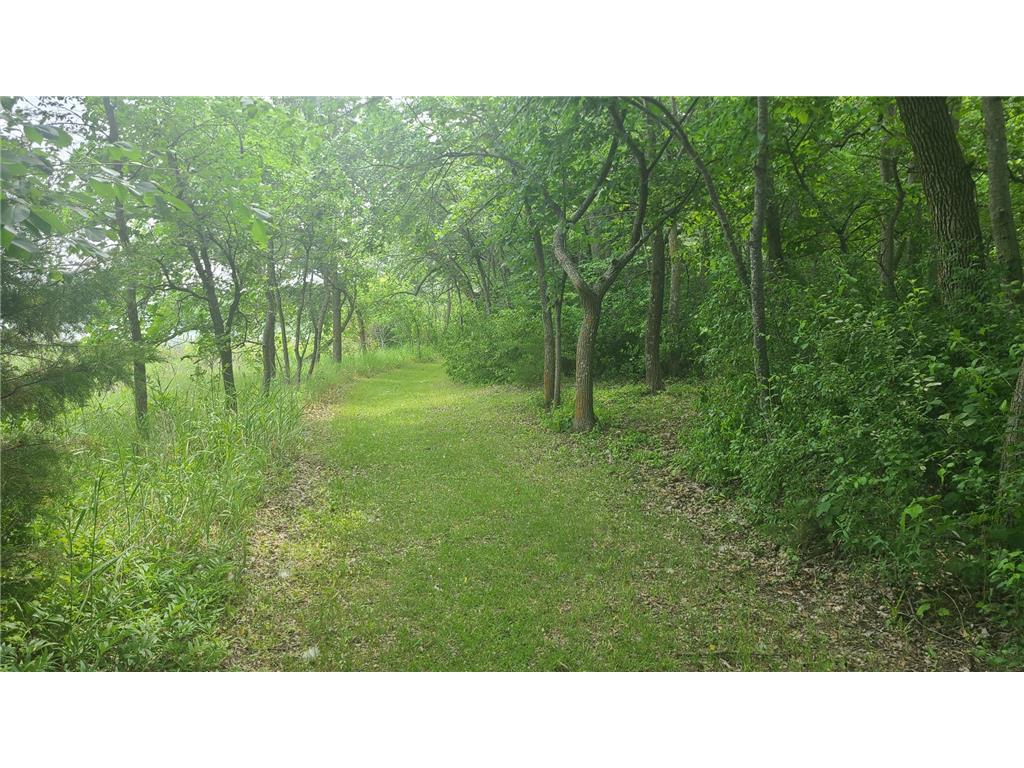 26373 Anna Lake Road Underwood MN 56586 - Anna 7082448 image22