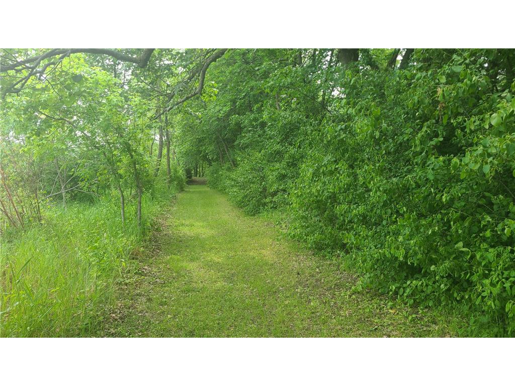 26373 Anna Lake Road Underwood MN 56586 - Anna 7082448 image25