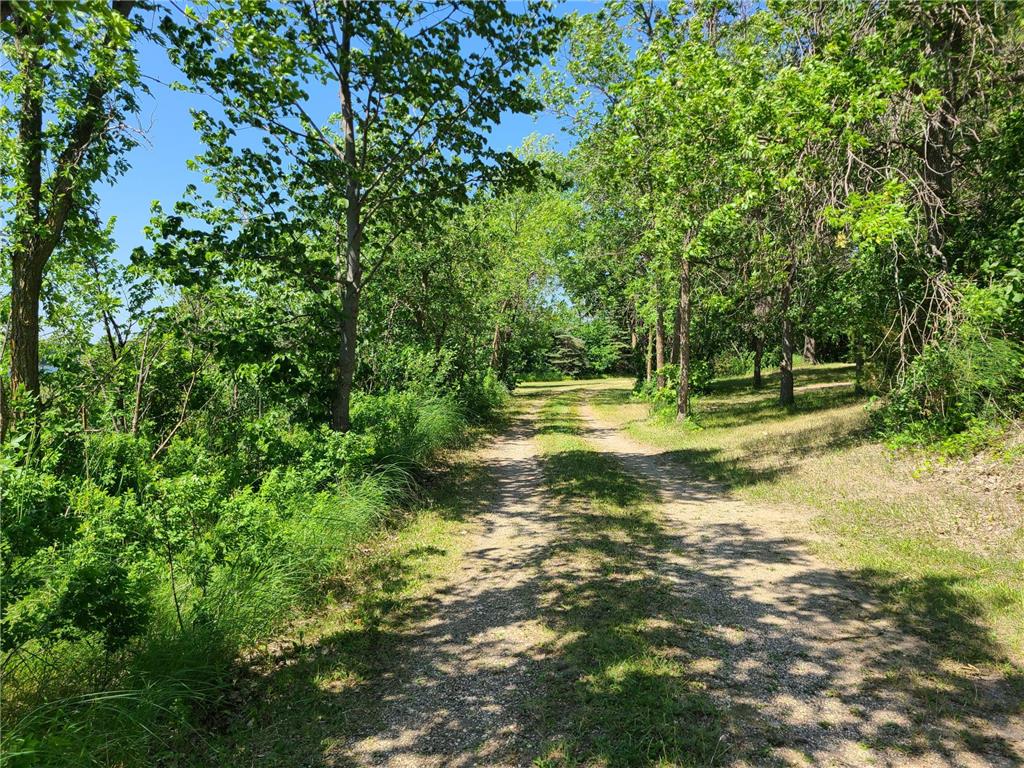 26373 Anna Lake Road Underwood MN 56586 - Anna 7082448 image3