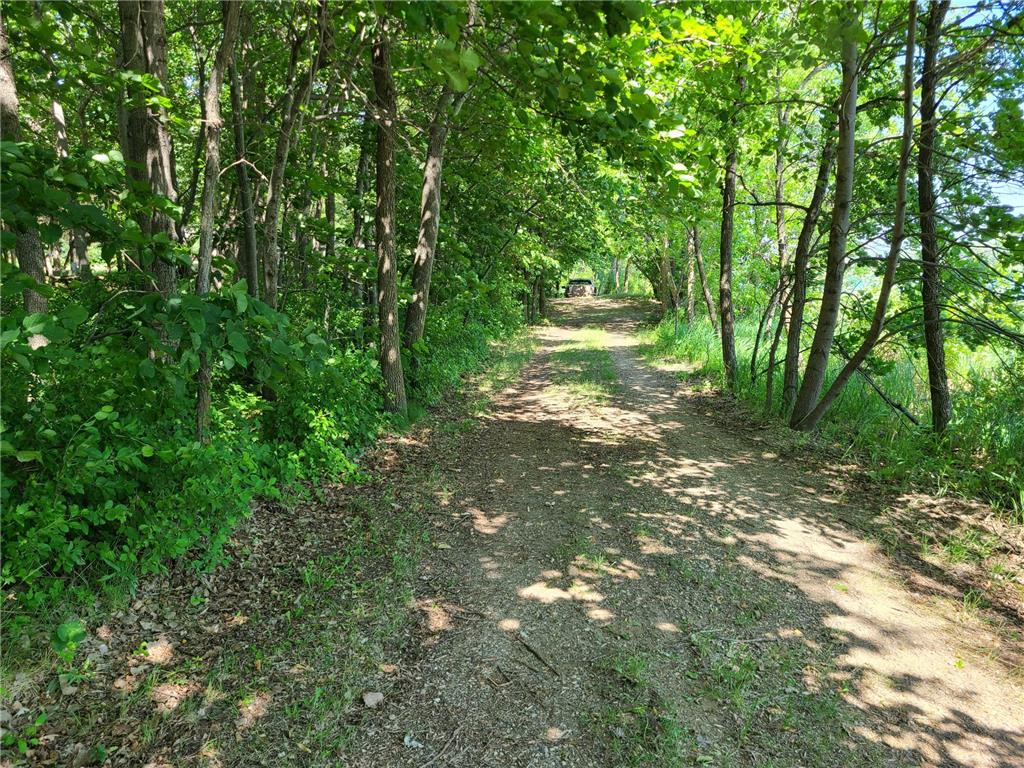 26373 Anna Lake Road Underwood MN 56586 - Anna 7082448 image4