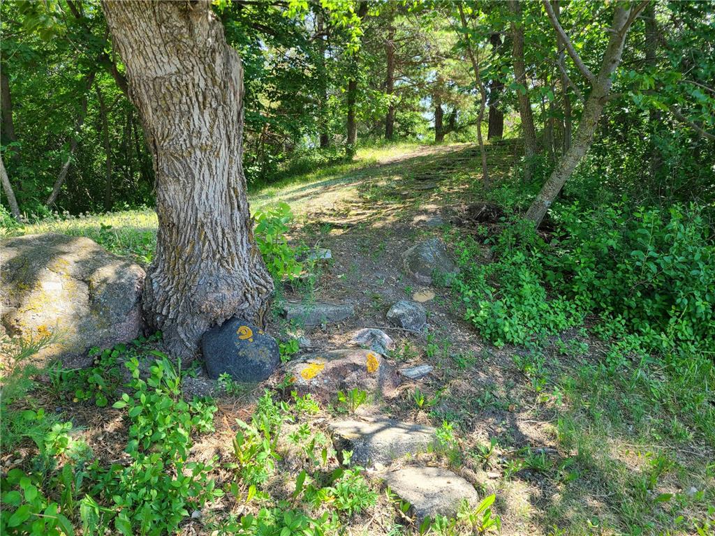 26373 Anna Lake Road Underwood MN 56586 - Anna 7082448 image8