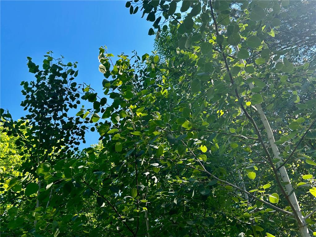 2638 Pine Lane Mora MN 55051 7092087 image34