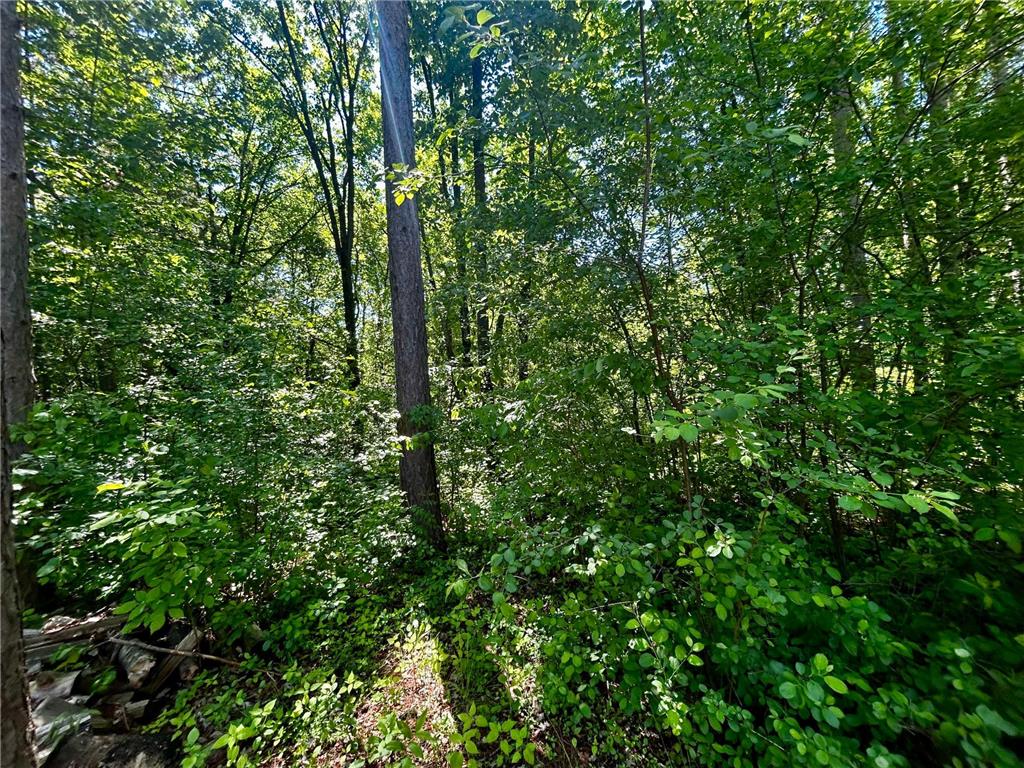 2638 Pine Lane Mora MN 55051 7092087 image35