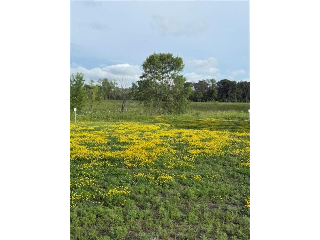 26381 Preserve Drive Elko New Market MN 55054 7103318 image1