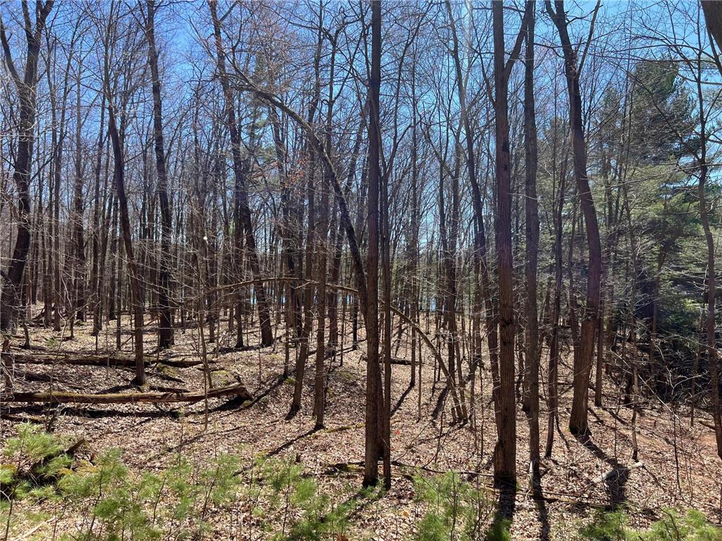 2639 2 1/2 Street Maple Plain Twp WI 54829 - Little Bass Lake 7058864 image12