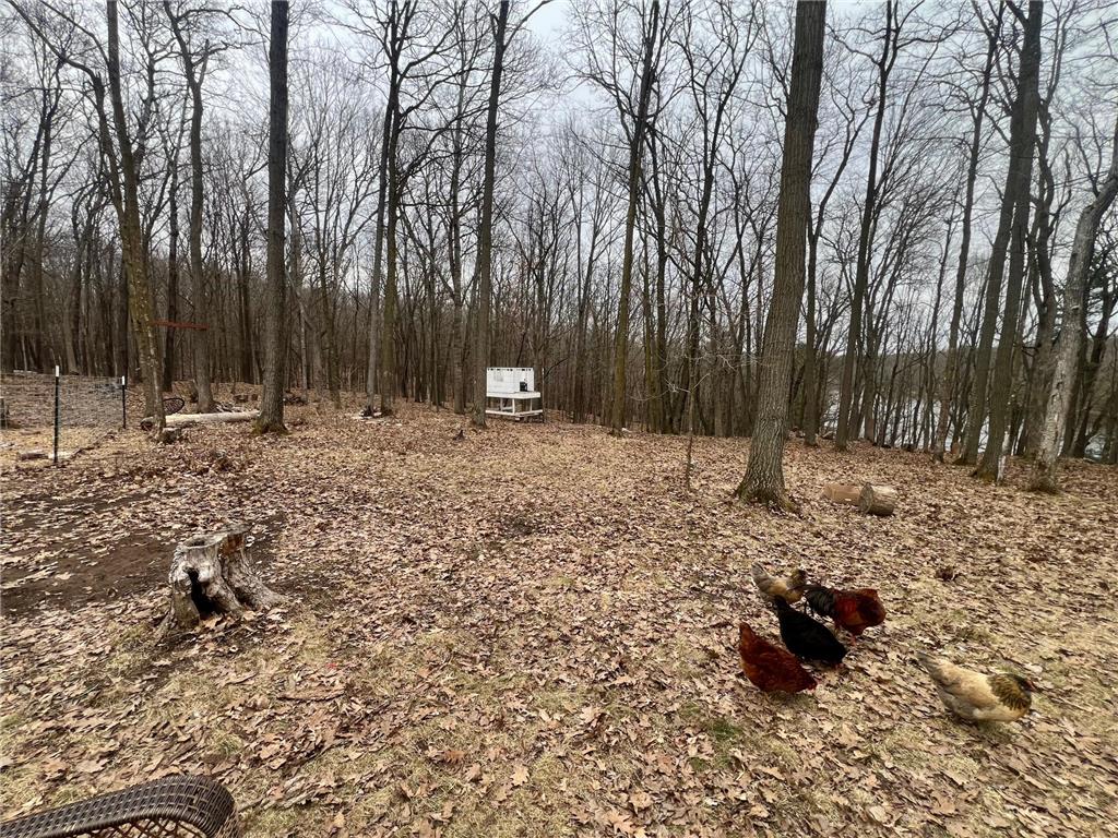 2639 2 1/2 Street Maple Plain Twp WI 54829 - Little Bass Lake 7058864 image8