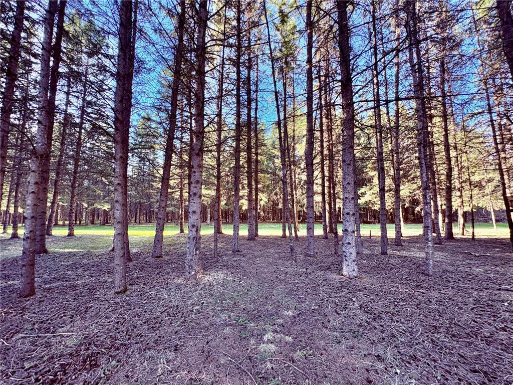 2640 18th Street NW Baudette MN 56623 7079142 image11
