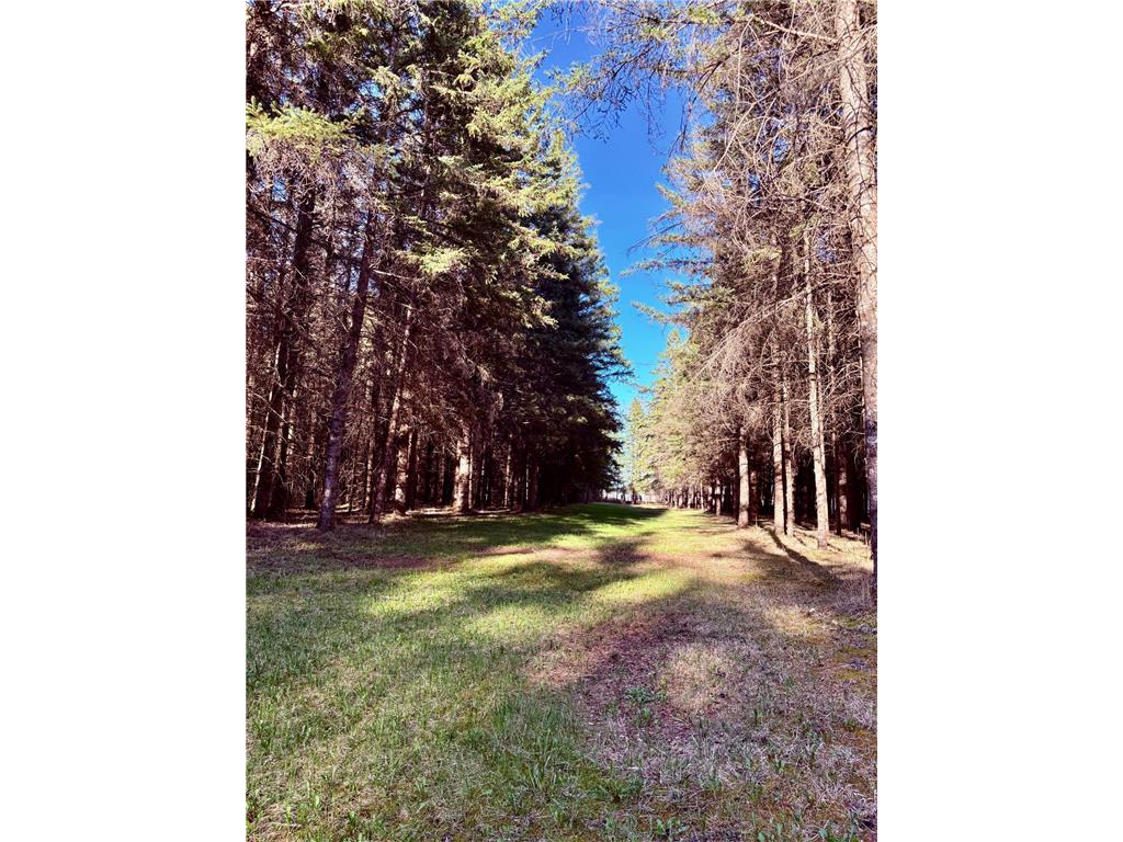 2640 18th Street NW Baudette MN 56623 7079142 image16