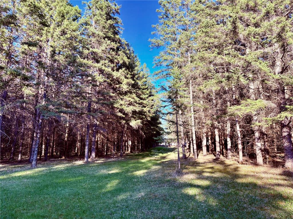 2640 18th Street NW Baudette MN 56623 7079142 image18