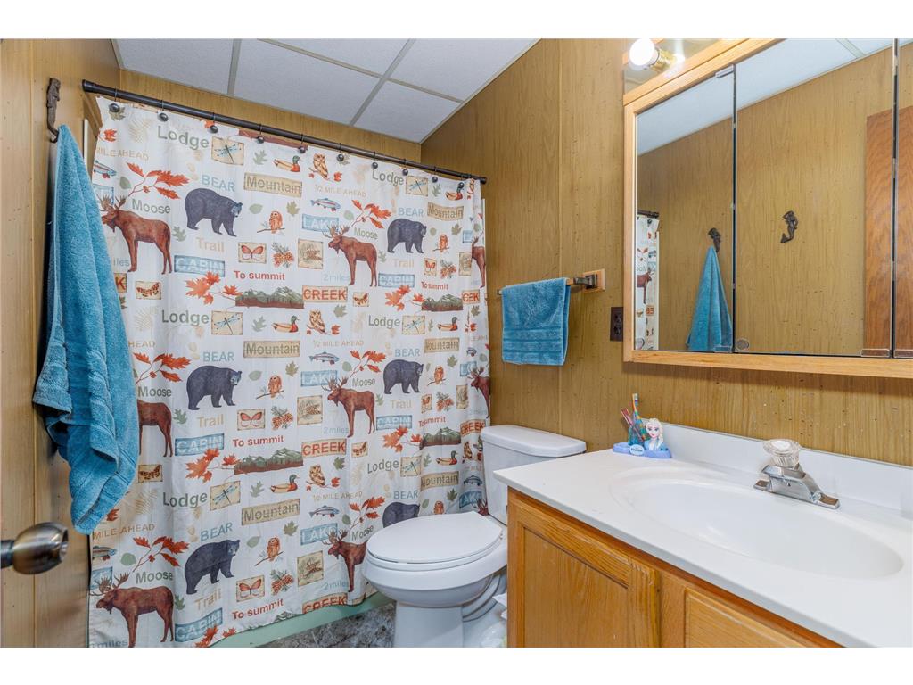 2641 Priests Point Road Ely MN 55731 - Bear Island Lake 7058639 image17