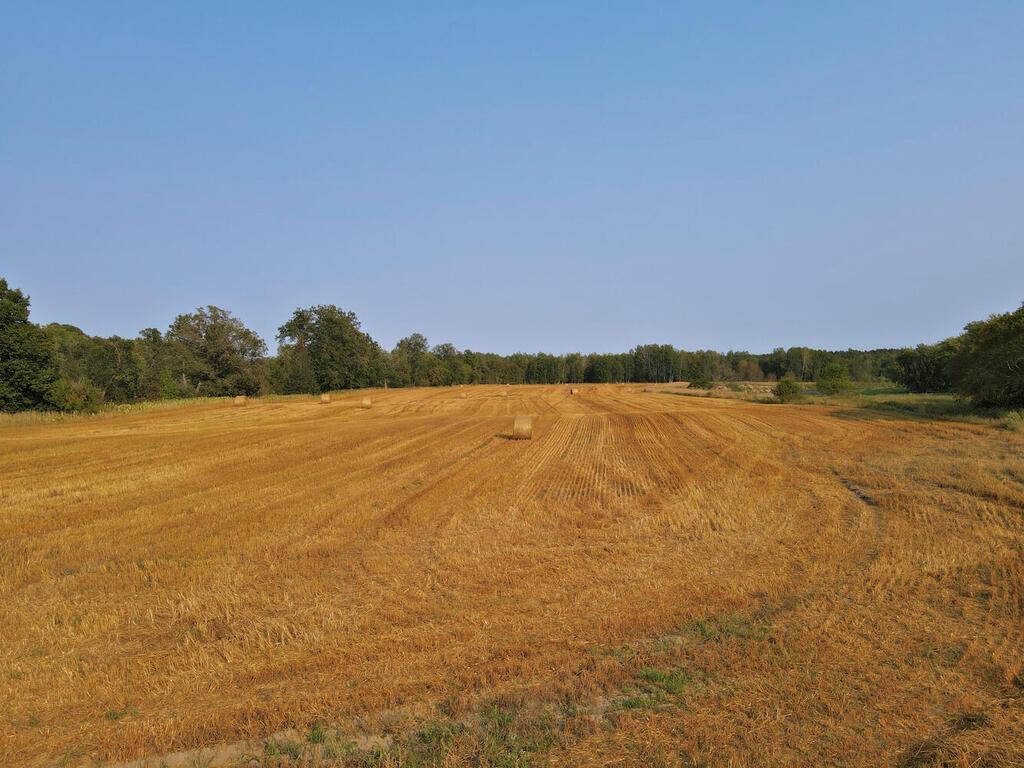 26411 Old Bridge Road Grand Rapids MN 55744 - Mississippi 7042955 image60