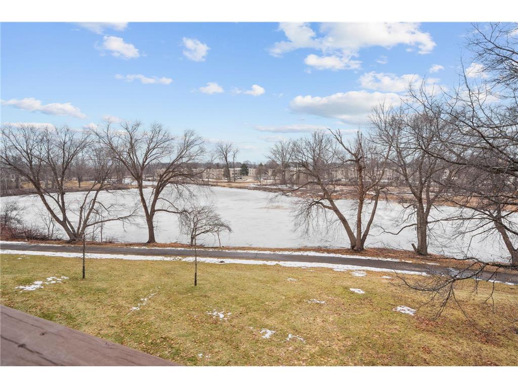 2644 Lake Court Drive #31 Mounds View MN 55112 - Wood 7039157 image29