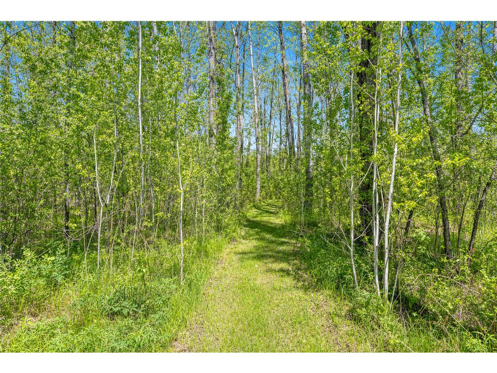 26450 State 34 Nevis MN 56467 7083713 image36