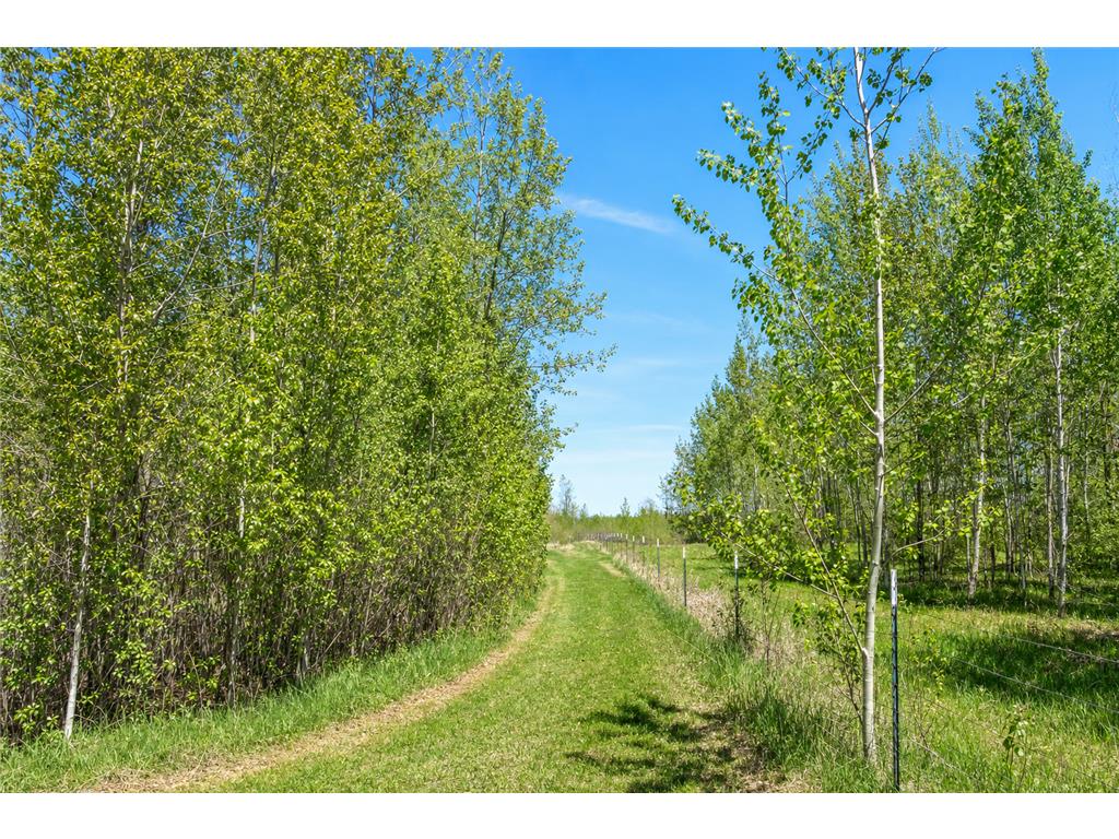 26450 State 34 Nevis MN 56467 7083713 image39