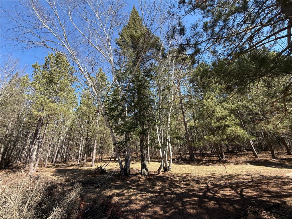 26468 US 71 Park Rapids MN 56470 7062772 image32