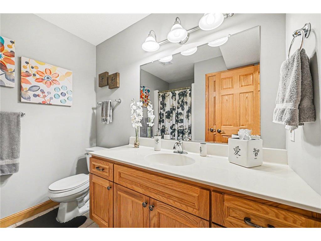 2649 Cardinal Way Buffalo MN 55313 - Pulaski 7078623 image25