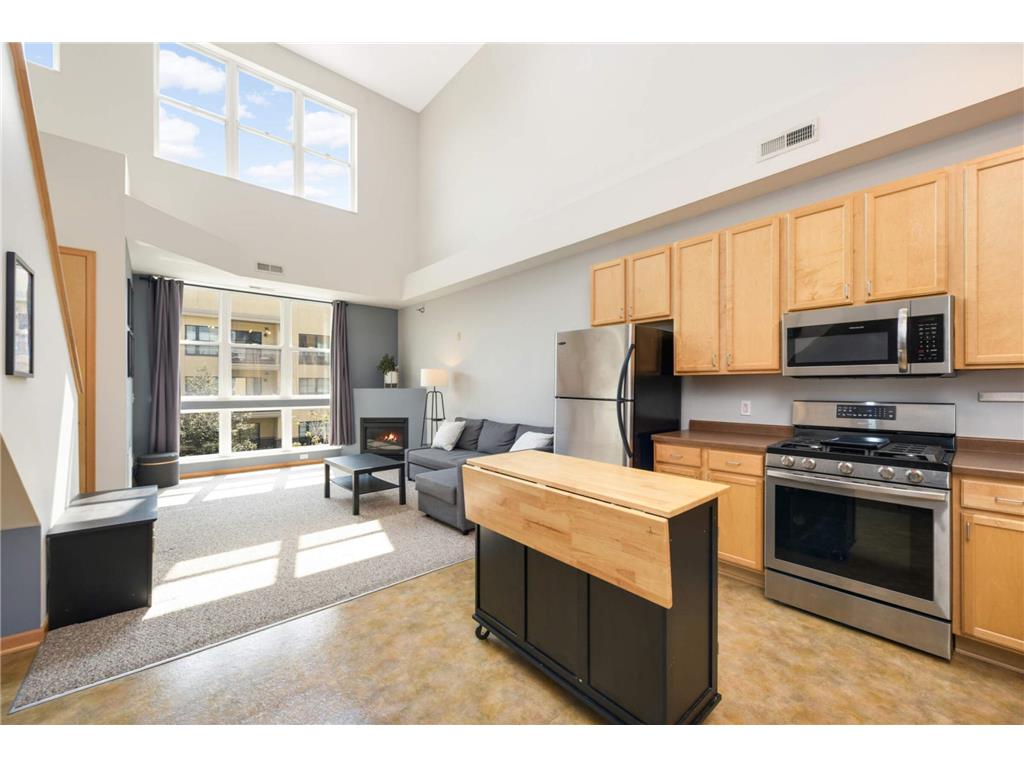 2650 University Avenue W #202 Saint Paul MN 55114 6585448 image1