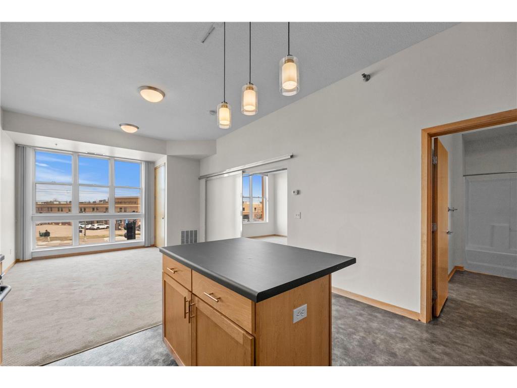 2650 University Avenue W #221 Saint Paul MN 55114 7051461 image8