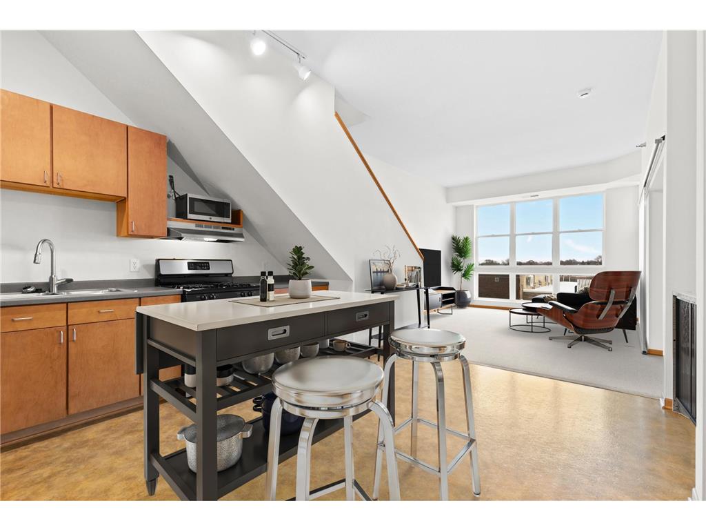 2650 University Avenue W #311 Saint Paul MN 55114 6826535 image1